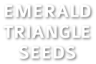 EMERALD TRIANGLE SEEDS