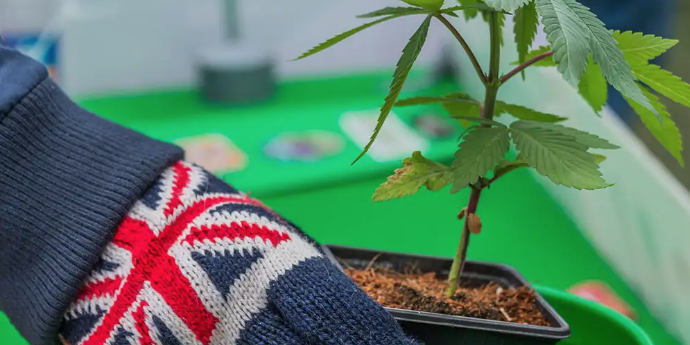 Screenshot 2019-10-15 at 13.33.45