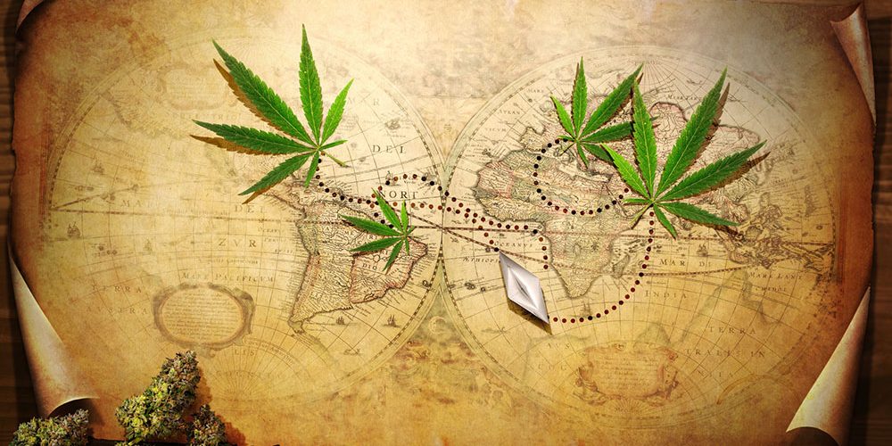 A History Of Cannabis Words By Paul James.