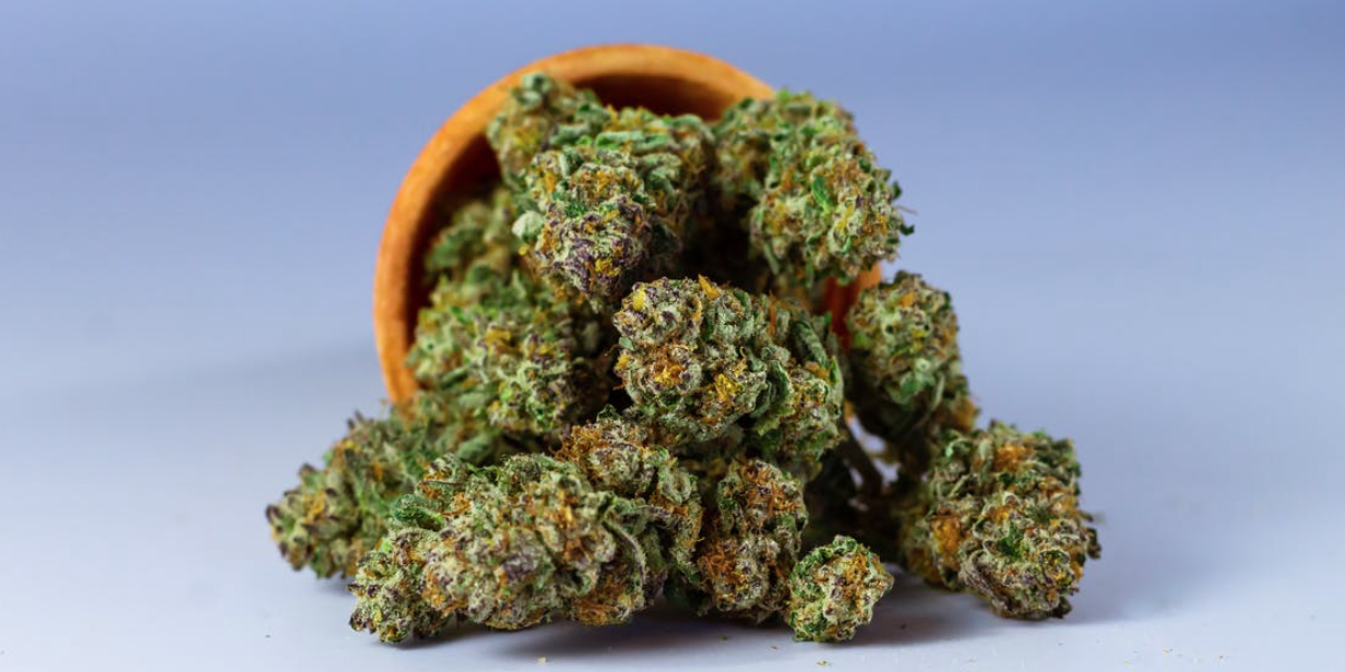 Screenshot 2022-07-11 at 11.48.34