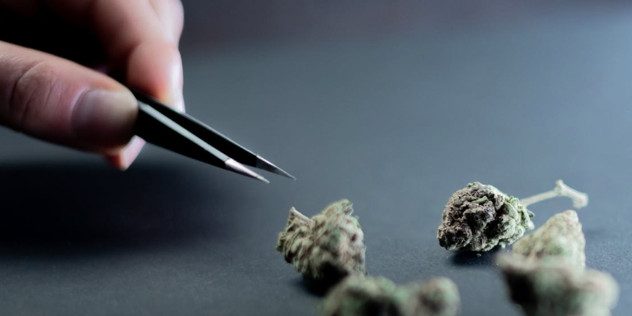 Screenshot 2022-09-13 at 11.07.57