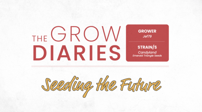 Screenshot 2023-06-08 at 12.32.28