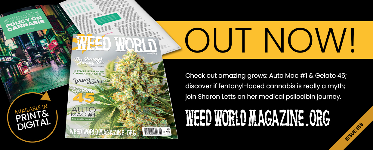 Weed World magazine issue 168